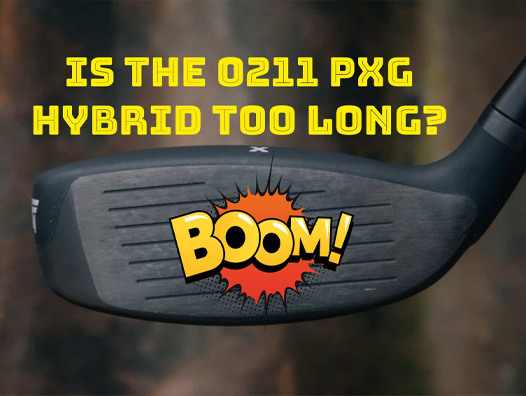 Click here to read the full article