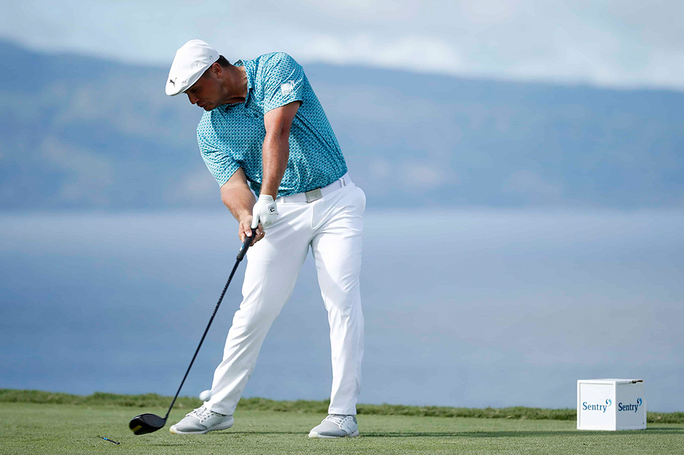 Click here for the full article Click here for the full article