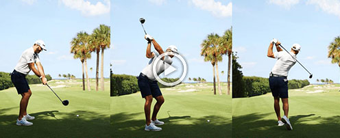 Click here to see more