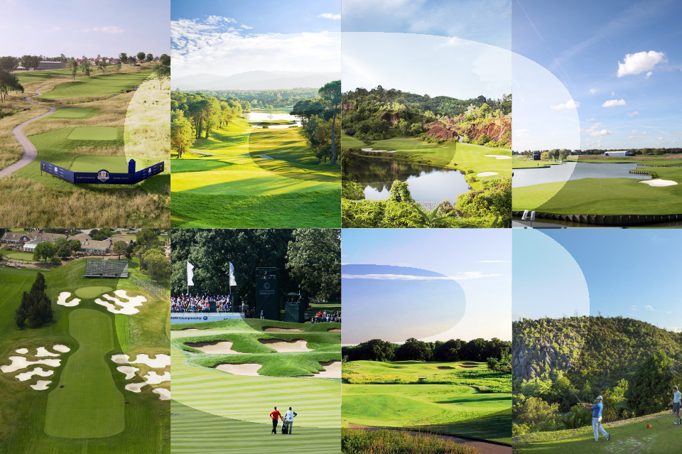 Click here for the full article Click here for the full article