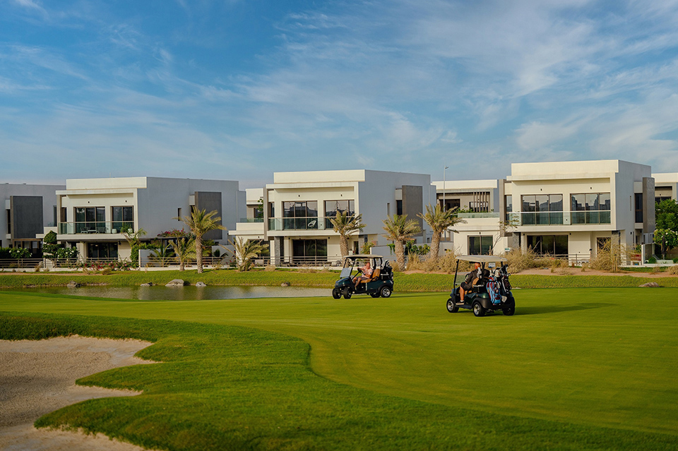 Click here for the full article Click here for the full article