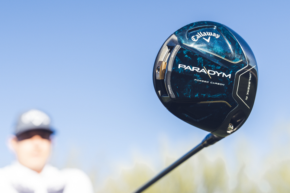 Click here for the full article