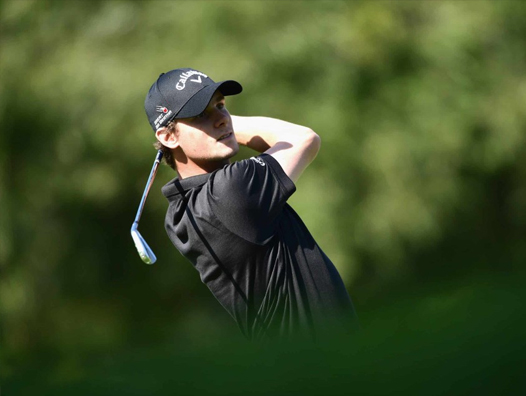 Click here to read the full article