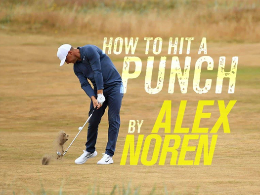 Click here to read the full article